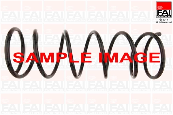 Suspension Spring